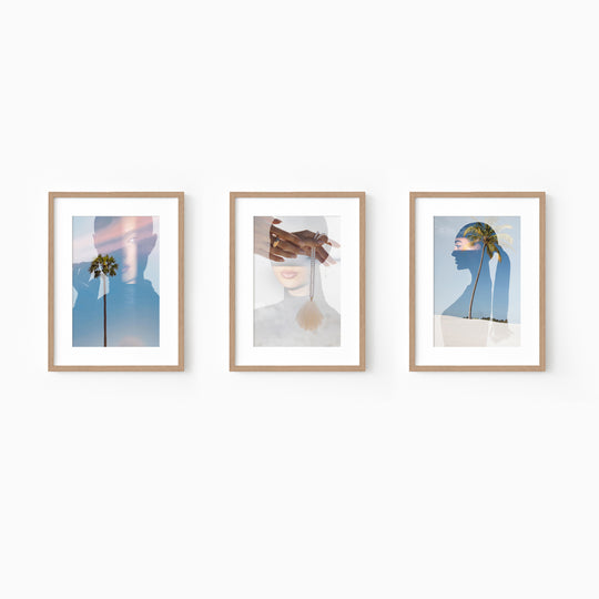 Shorelines - The Series