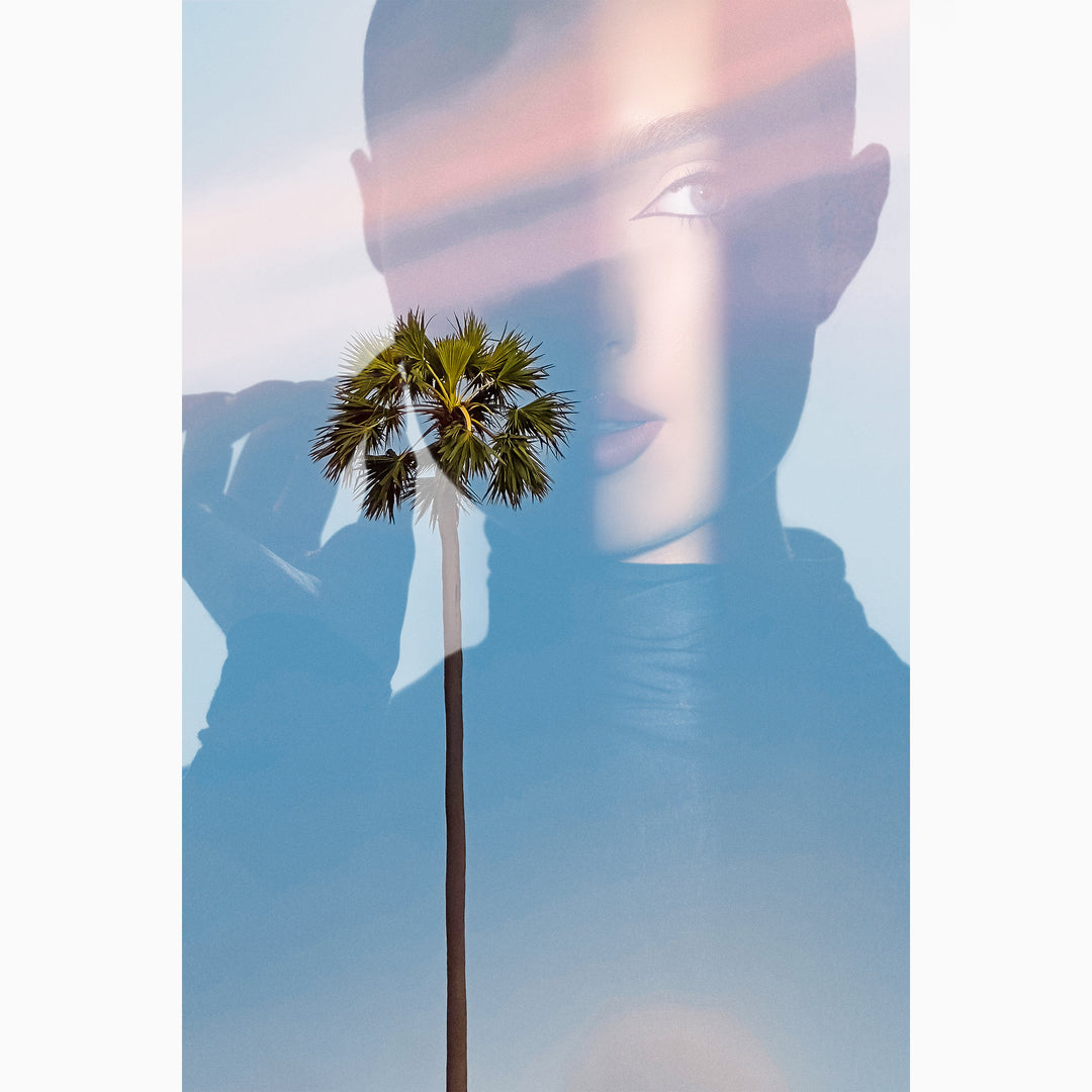 Shorelines - The Series