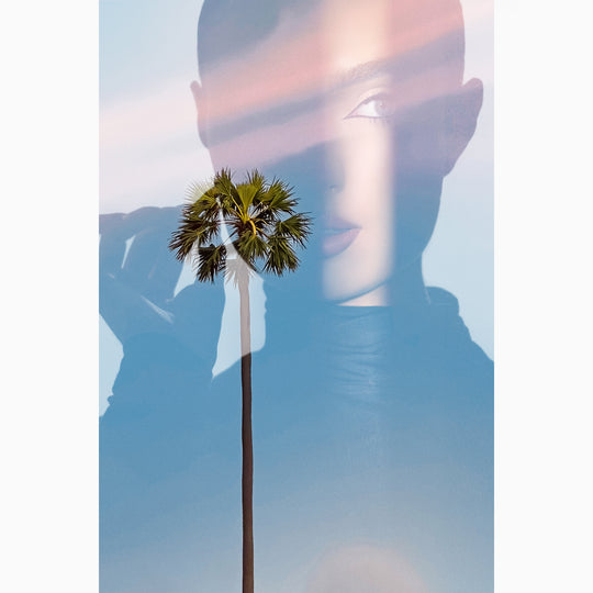 Shorelines - The Series