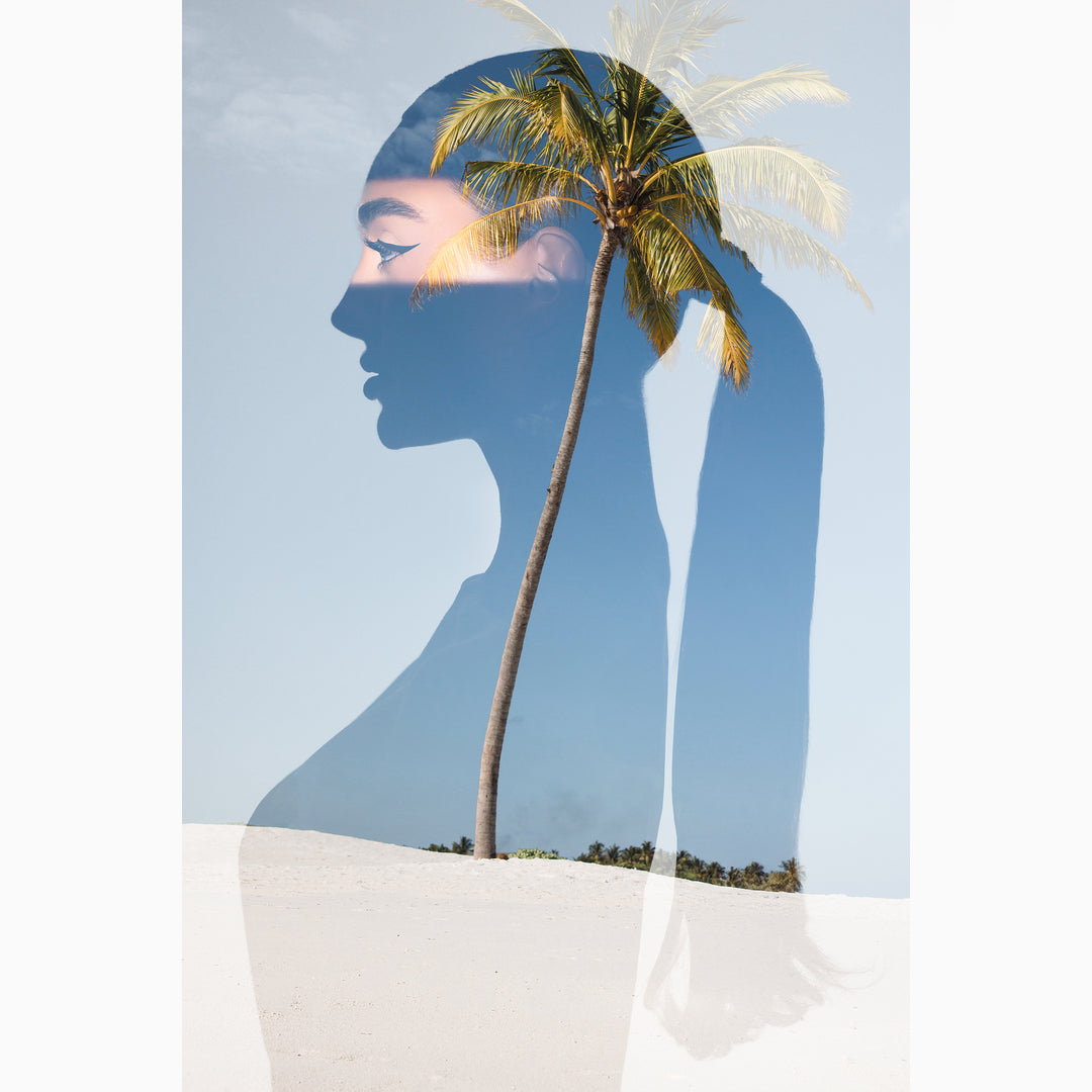 Shorelines - The Series