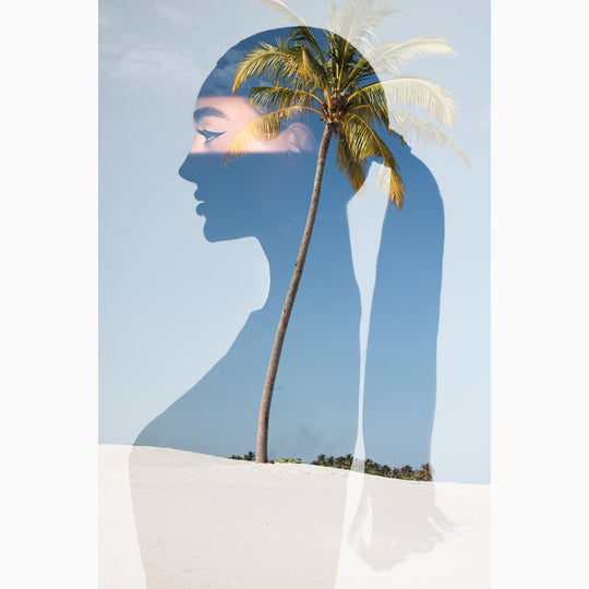 Shorelines - The Series